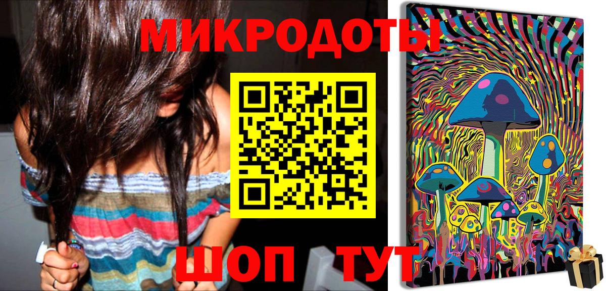 Псилоцибиновые грибы Psilocybe Канаш