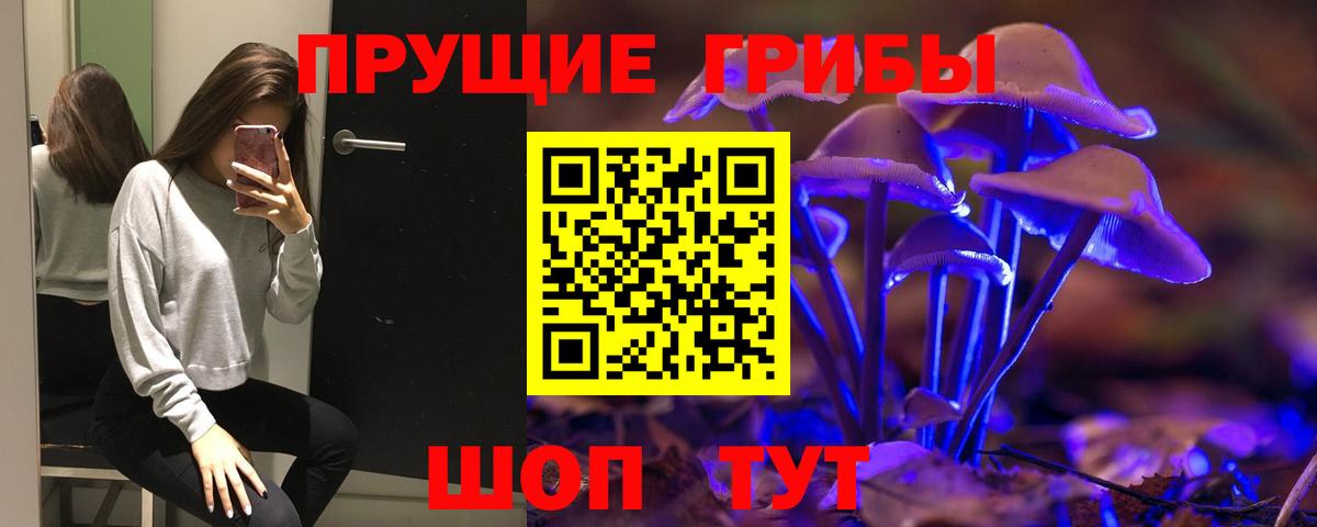 Псилоцибиновые грибы ЛСД  Вход с VPN  Канаш 